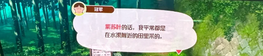 蜡笔小新煤炭镇的小白紫叶在哪里